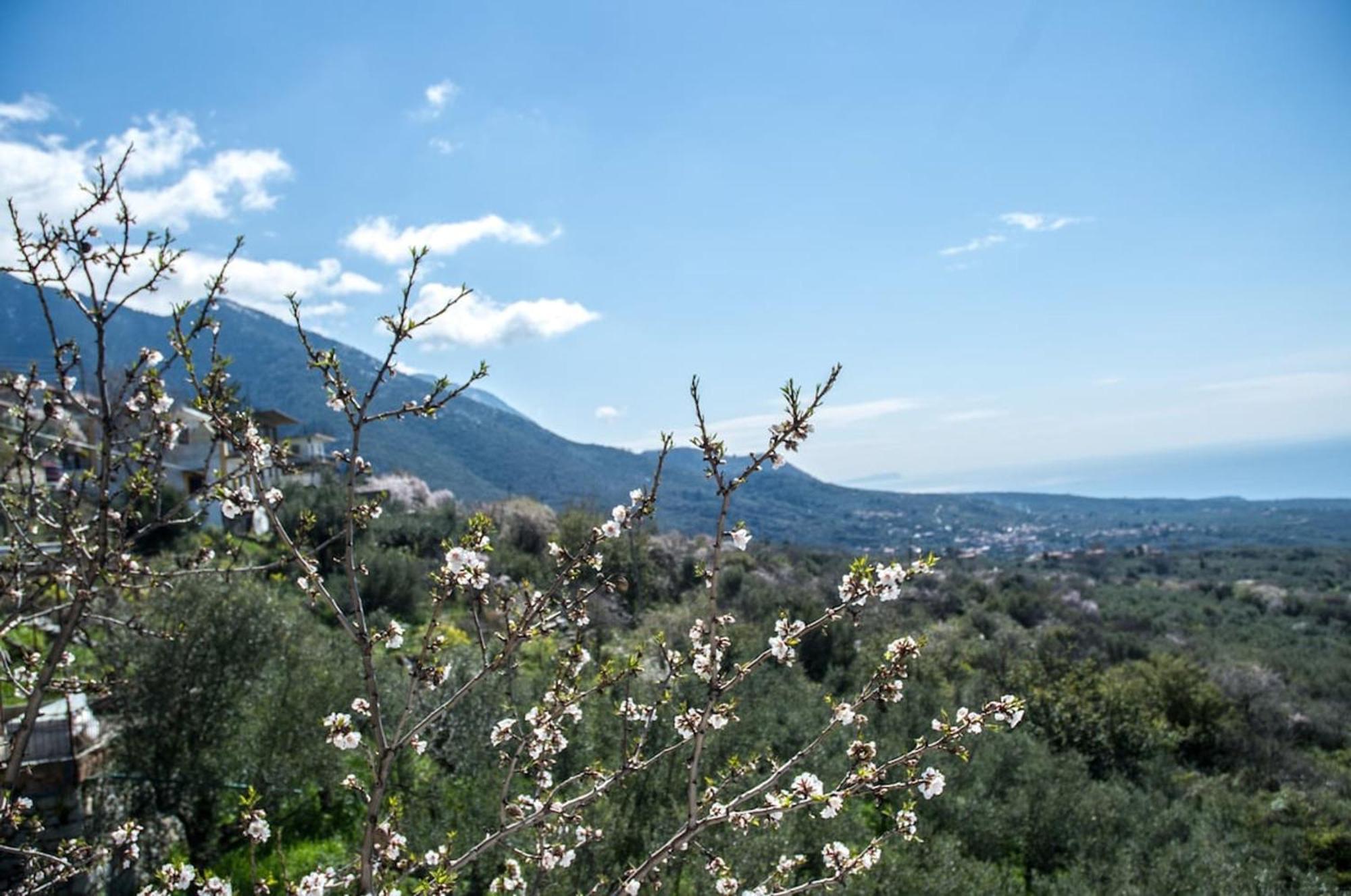 Dimos-Mani Wonderful View Βίλα Tseria Εξωτερικό φωτογραφία